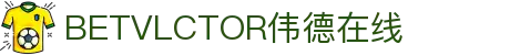 bevictor伟德(中国)-官方网站